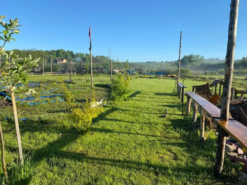 Gracze paintball w akcji