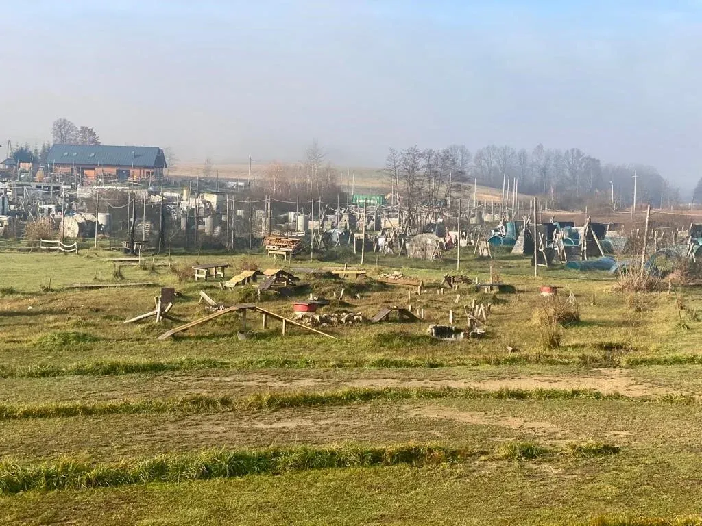 Specjalne pakiety dla wieczorów kawalerskich